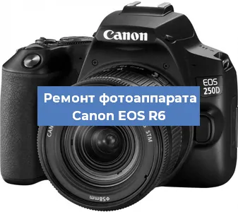 Замена шторок на фотоаппарате Canon EOS R6 в Новосибирске